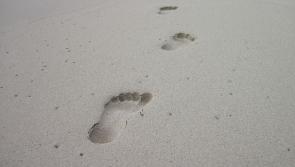 Choosing readings and reflections for a Funeral 