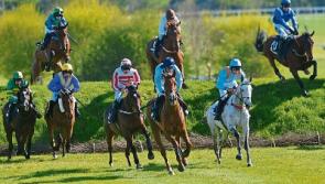 Punchestown: It is possible to enjoy a day or two at the races... without having a bet