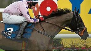 Punchestown: To Cheltenham and back for Rathangan owner