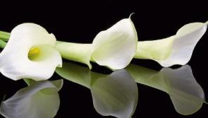 Recent deaths in Kildare