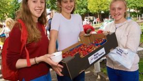 Naas Wild Food Festival takes place next weekend