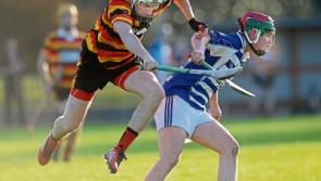 SHC Final Preview: Naas are firm favourites but Ardclough will be no easy meat