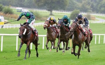 THE PUNTER'S EYE: Four horses to back as top class jumps racing returns