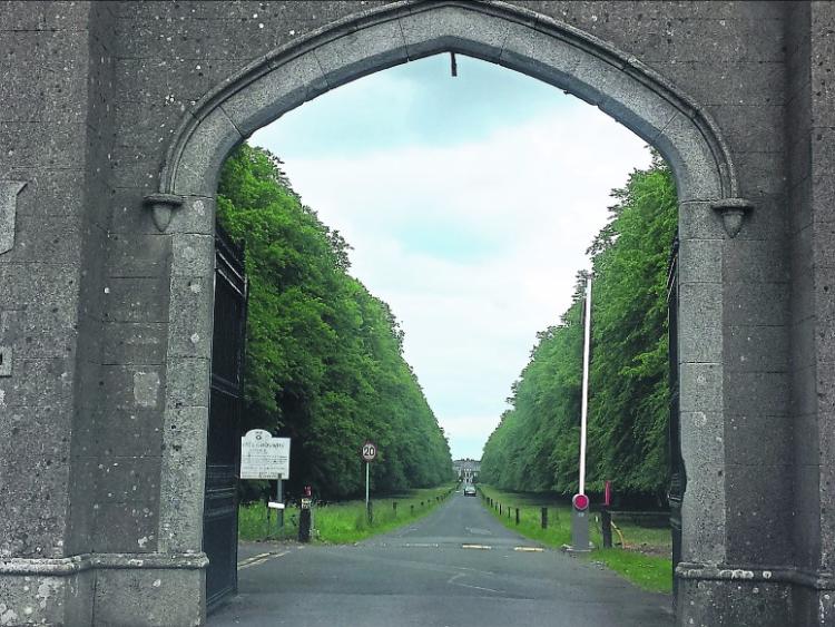 Clongowes tops table of Kildare schools