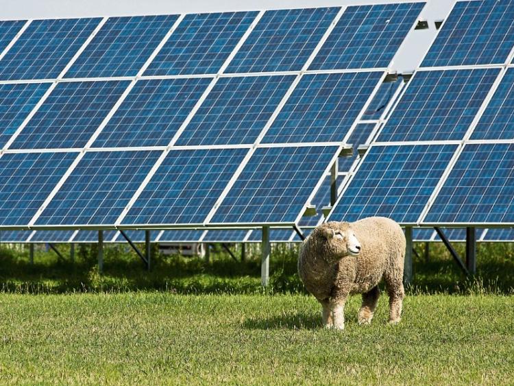 Public consultation on Laois solar farm