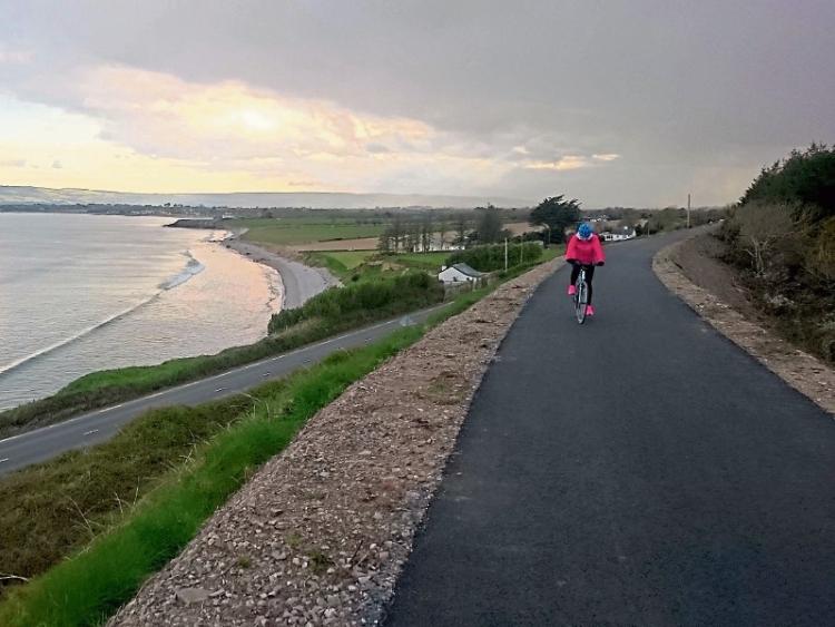 Royal Canal cycling greenway 'mediocre' - claim