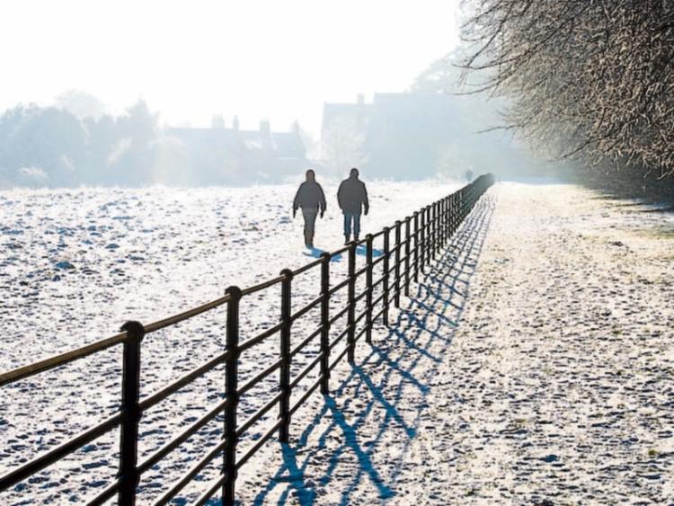 Historic Castletown Kildare papers found