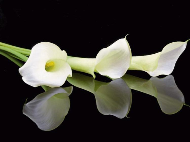 Tipperary deaths Friday 16th December