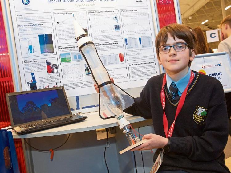 Kildare Young scientists commended