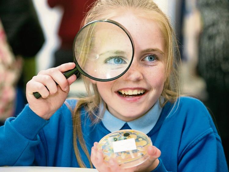 Nine Kildare  primary schools in science fair