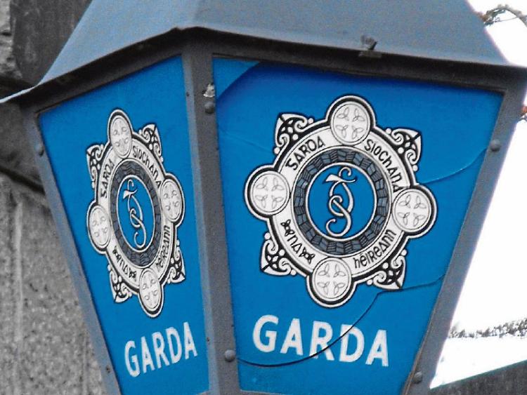 Alarm spooked raiders in Rathangan