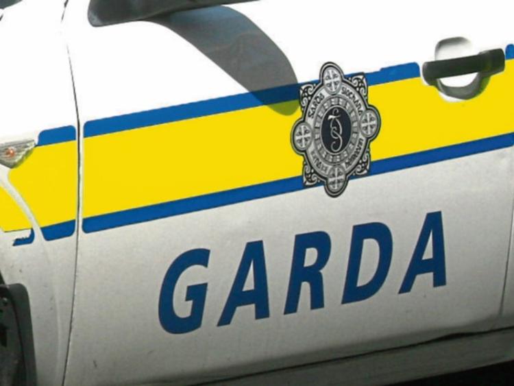 Kildare gardai investigate spate of house raids in Rathangan 