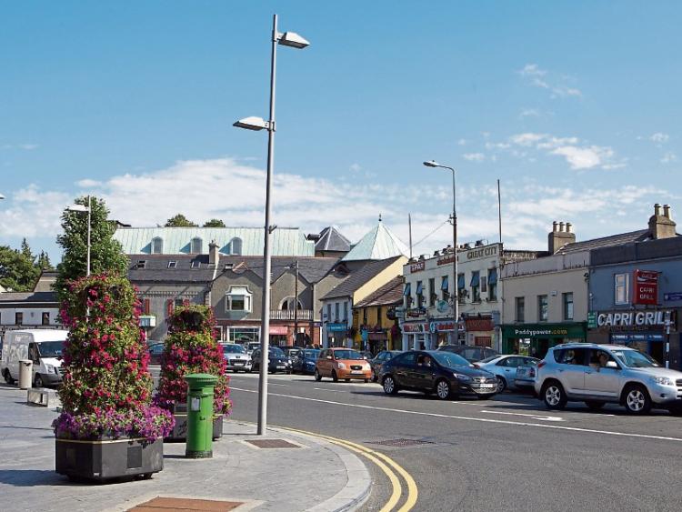 Clean up dog dirt in Naas