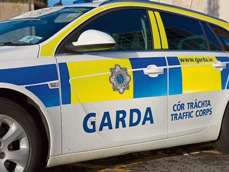 Appeal for information on Kildare town assault
