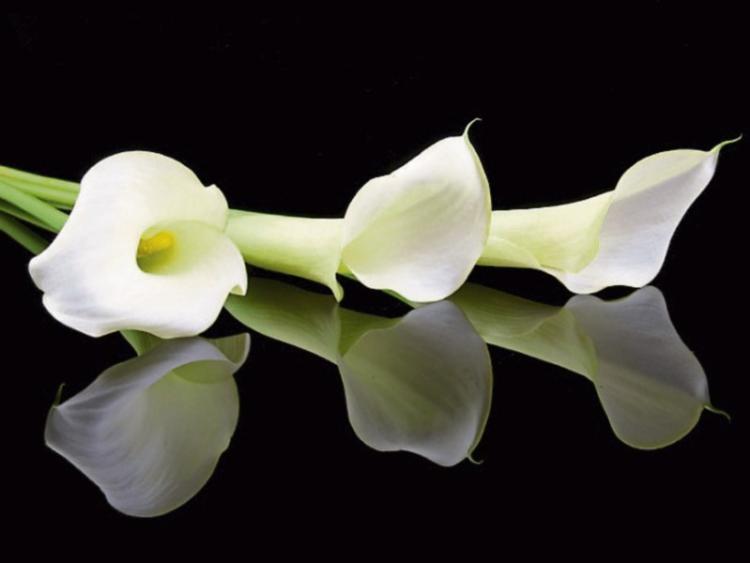 Kildare fire tragedy: Funeral arrangements announced for John Paul Flood