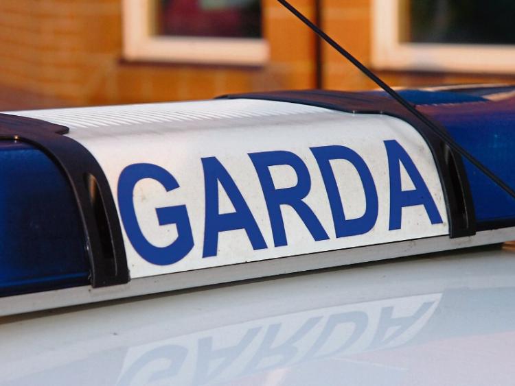Man awoke to three males with baseball bats in his Kildare home