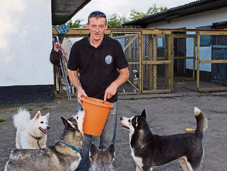 Dublin Husky Rescue Centre, at the Curragh,  issues desperate appeal as it faces closure