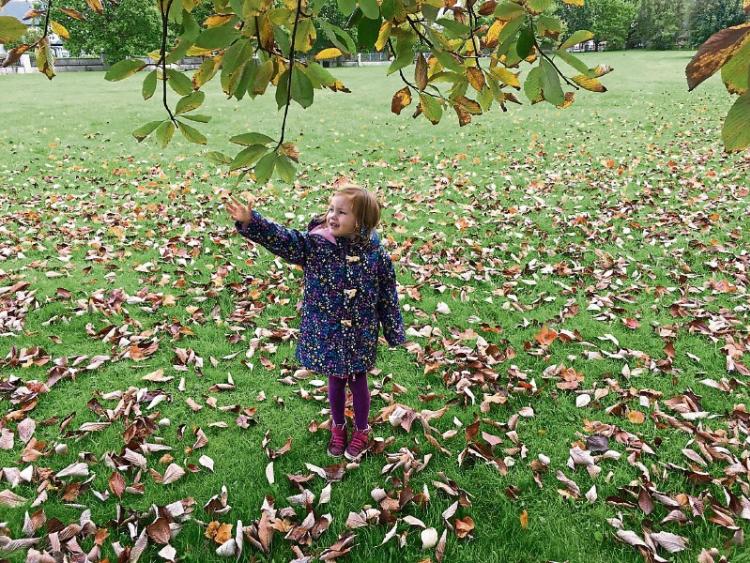 Forget Christmas, autumn's the most wonderful time of the year in Kildare