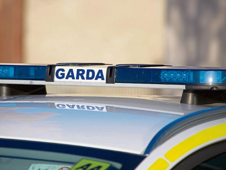 Garden sheds still a target for thieves across Kildare