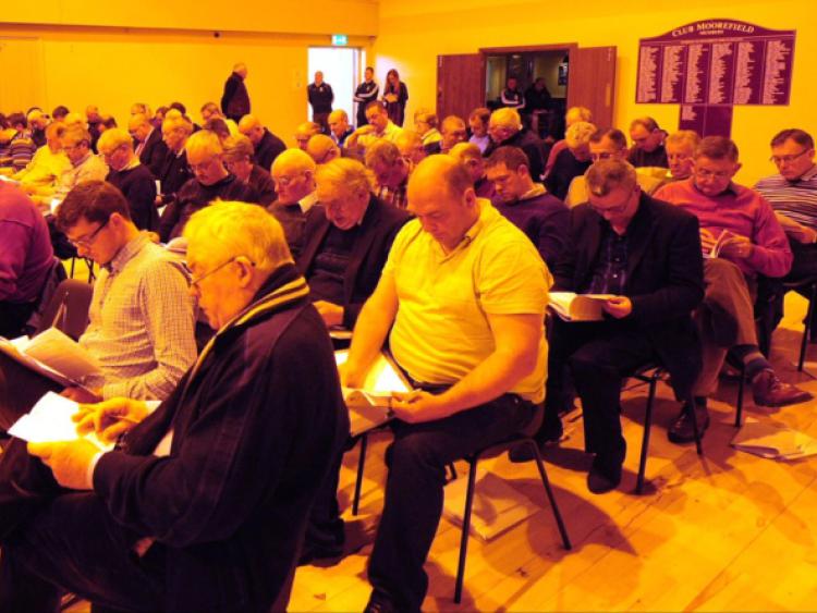 Delegates at the Kildare GAA annual convention at Moorefield.