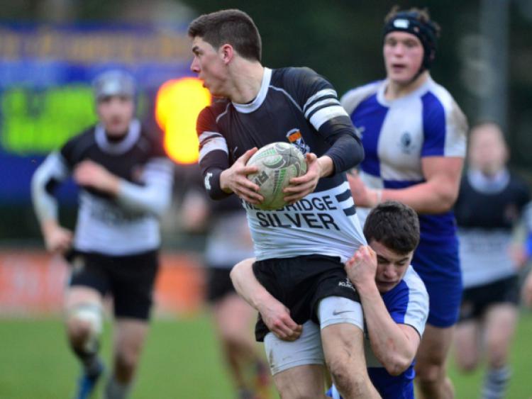 Jimmy O'Brien gets the ball away for Newbridge College against St Andrews in the Leinster schools league senior semi final at St Mary's