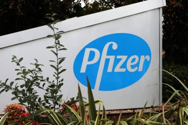 The entrance to Pfizer's plant Newbridge. Photograph credit: Aishling Conway