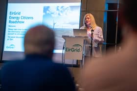 The free event will bring together experts from SEAI,  ESB Networks and South Dublin County Council to provide information about home energy efficiency upgrades and retrofitting grants