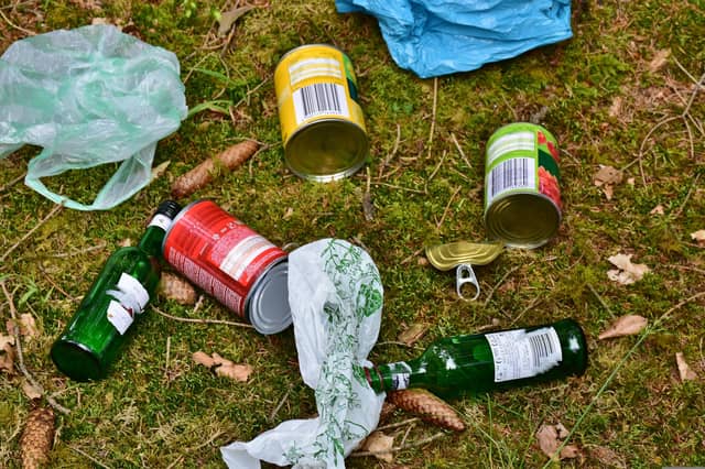 'Idiots': Litter dumpers criticised at Kildare County Council meeting. FILE PHOTOGRAPH / PIXABAY