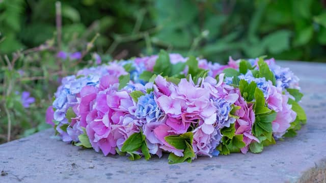Kildare business releases heartfelt statement following bereavement. FILE PHOTOGRAPH / PIXABAY