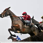 Christmas horse racing tips including 12/1 shot at Leopardstown on St Stephen's Day