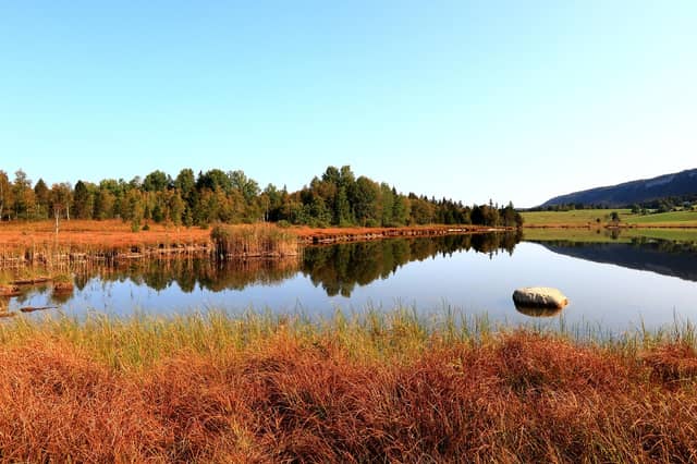 Kildare bog is being plagued by ‘high levels of persistent dumping’. FILE PHOTOGRAPH / PIXABAY