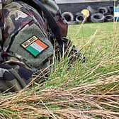 File photo via Irish Defence Forces