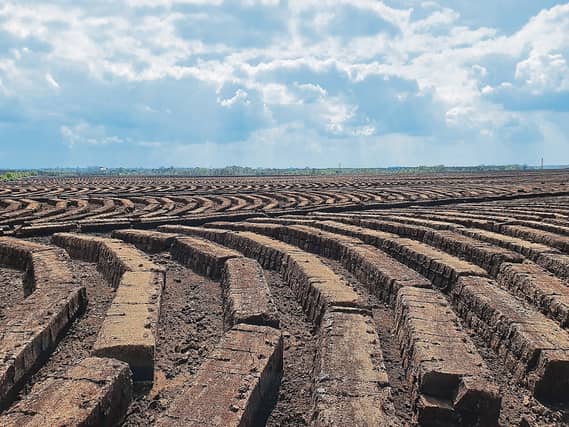 Commercial operators are estimated to export around 370,000 tonnes of peat annually