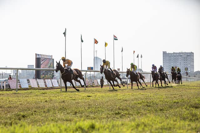 Prominent horse racing figures to attend Kildare fundraiser in aid of child. FILE PHOTOGRAPH / PIXABAY