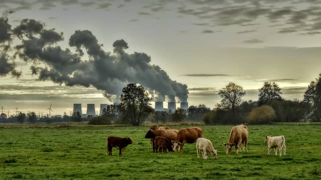 There is a 'strong possibility' that Ireland won't meet its 2030 obligations by 'quite a significant amount'