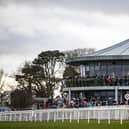 Naas Racecourse
