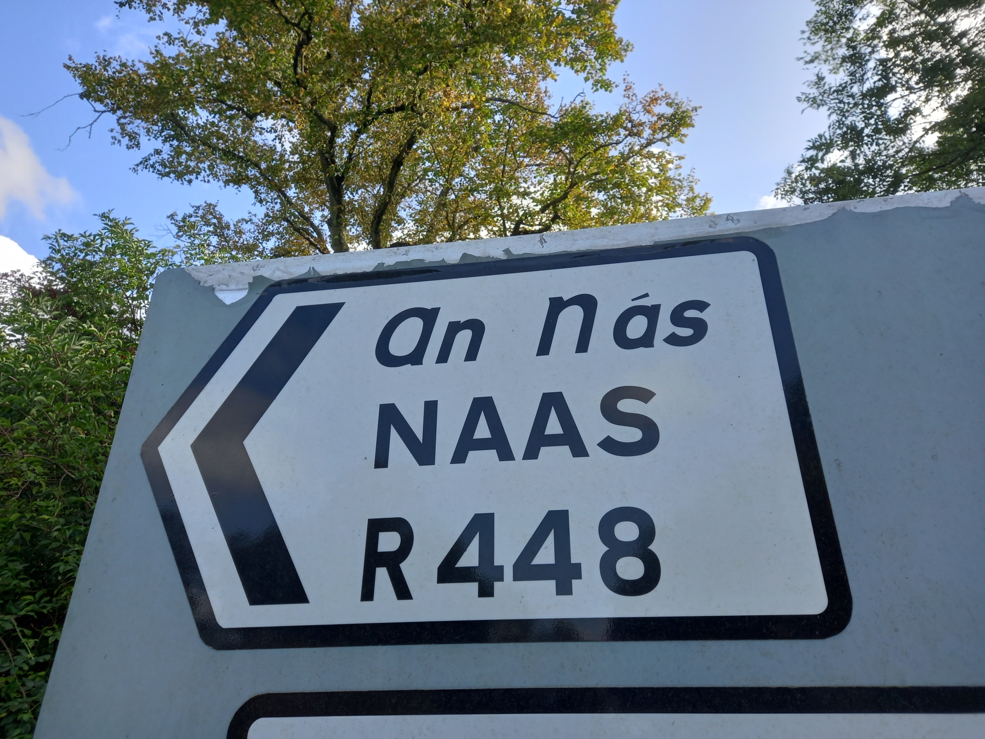 Ramps and speed notices needed at Naas road