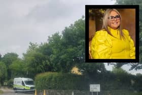 The scene of the fatal dog attack on Nicole Morey (insert) in Ballyneety I PICTURE: Brendan Gleeson