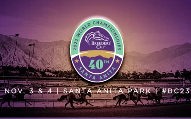 Kildare equine company Equine MediRecord partners with iconic Breeders’ Cup World Championships
