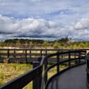 The peatlands boardwalk at Lullymore Heritage Park