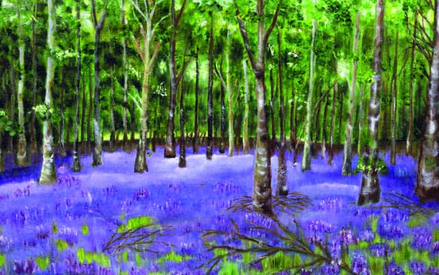 Bluebells and Buskers returns to Killinthomas Woods in Kildare