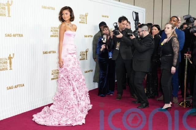 These are all the Hollywood stars who opted for embellished looks at the SAG awards: 
