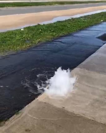 Water gushing out of the hydrant near the R445 (Photo: Cllr Fiona McLoughlin Healy/Facebook