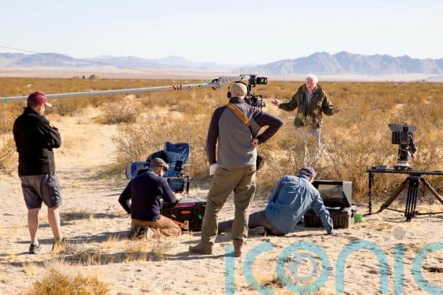 “As we transition from the old footage of David in 1982 to our shot of David in 2022, we see that in four decades the plant has barely changed.