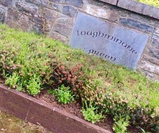 The proposed residential scheme will be on a 9 hectare site between the Green Road and the Southgreen Road - and opposite the existing entrance to the Loughminane Green estate.