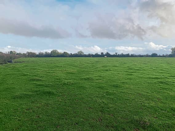The land at Leonardstown