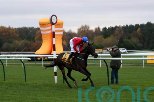 Having won the Betfair Chase at Haydock on his return to action this season, he had to make do with second place when defending his Savills Chase crown over Christmas.