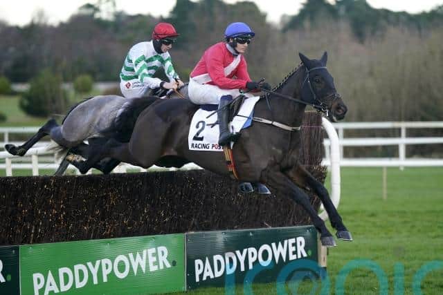 Ferny Hollow is another horse to run in the red, white and blue silks of Cheveley Park and he too has his Cheltenham Festival target pencilled in after a win over the festive period.
