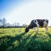 22 projects in the dairy and meat sectors across the country are to receive funding from the Government’s Capital Investment Scheme.