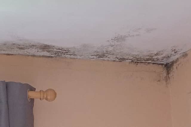 She elaborated that the first time her family noticed something was wrong was when they noticed an awful smell throughout the house: "We took the carpets up, because we thought, 'maybe the issue is with them', but it turned out it wasn't."